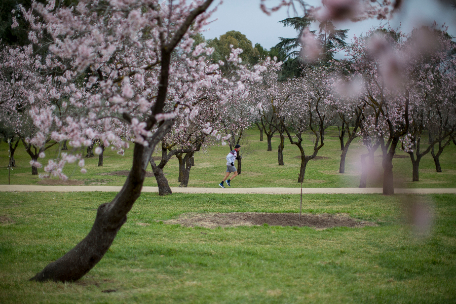 IC Photo(qun)ƷՈ(qng)D(zhun)d