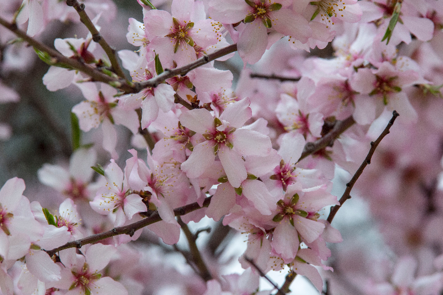 IC Photo(qun)ƷՈ(qng)D(zhun)d