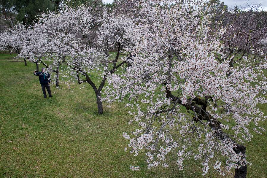 IC PhotoƷՈDd