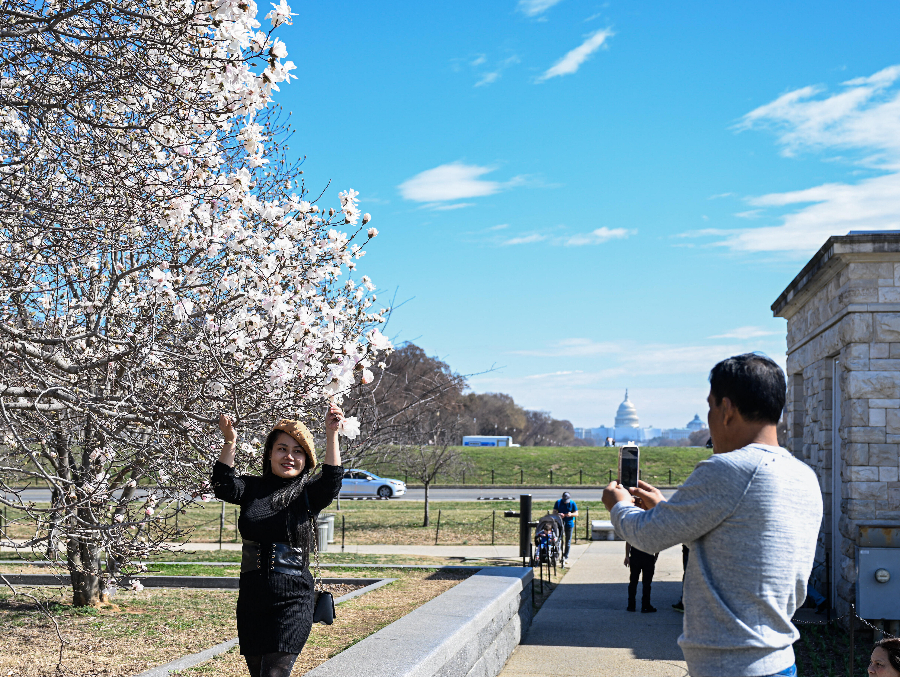 IC Photo(qun)ƷՈD(zhun)d