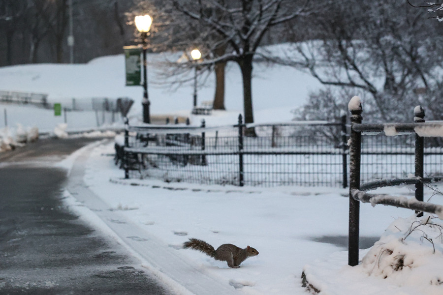 ICPhoto(qun)ƷՈD(zhun)d