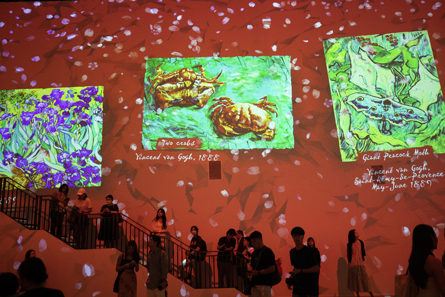 ICPhoto(qun)ƷՈD(zhun)d