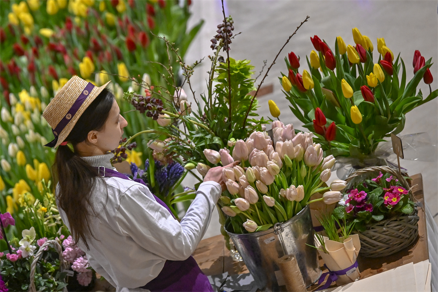 ICPhoto(qun)ƷՈ(qng)D(zhun)d