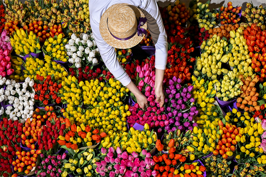 ICPhoto(qun)ƷՈ(qng)D(zhun)d