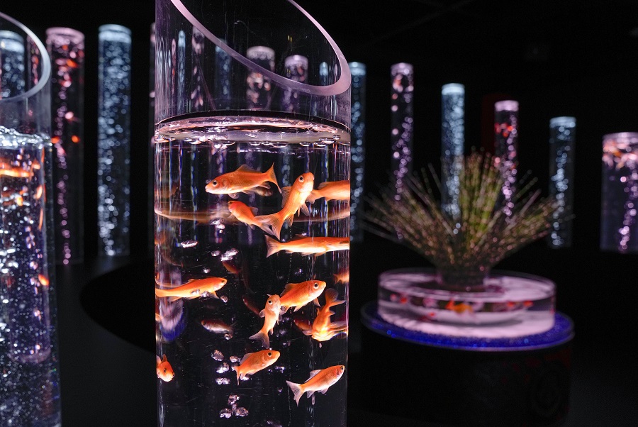 ICPhoto(qun)ƷՈD(zhun)d