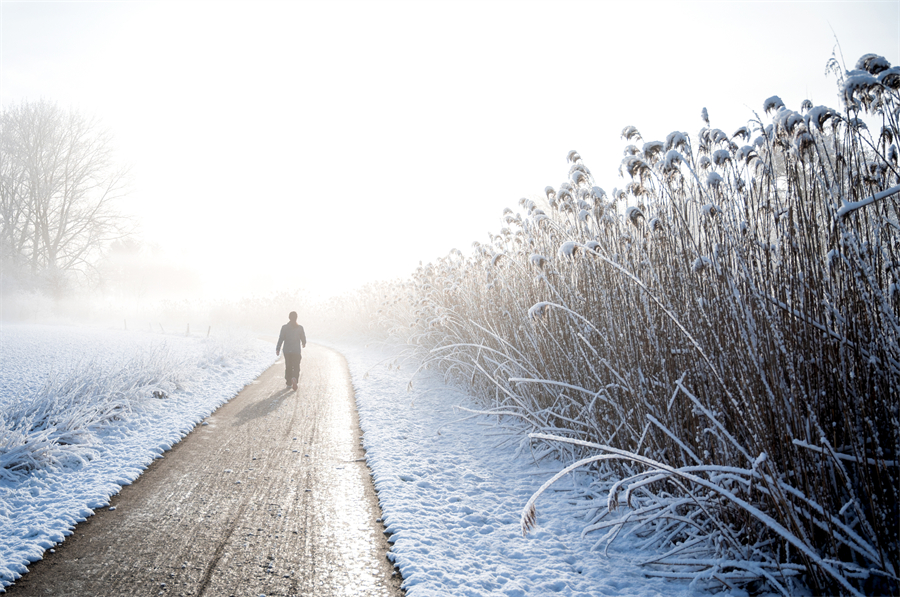 ICPhoto(qun)ƷՈD(zhun)d