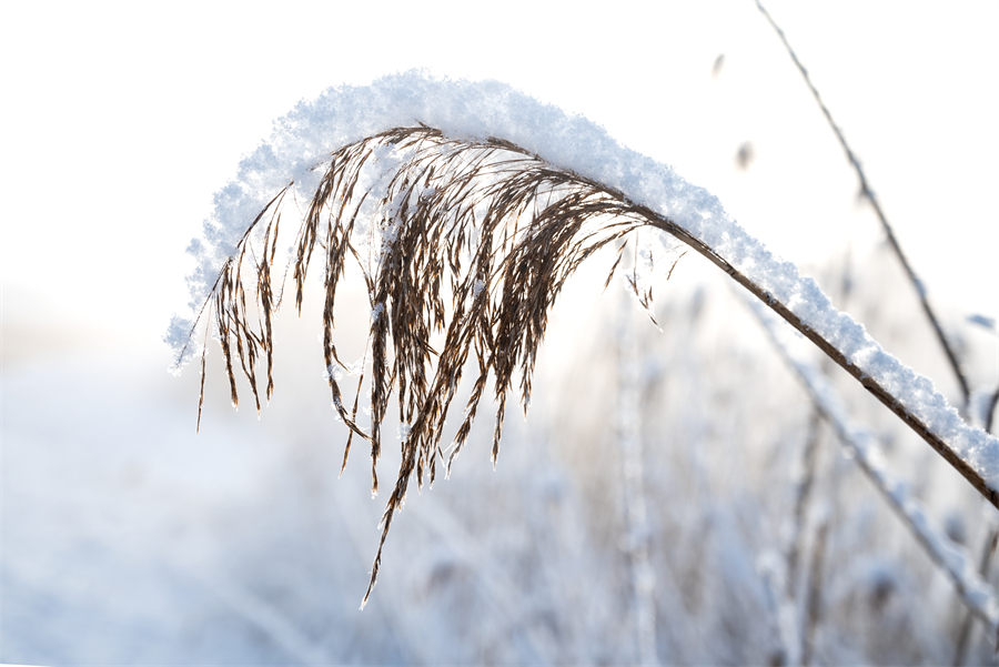 ICPhoto(qun)ƷՈD(zhun)d