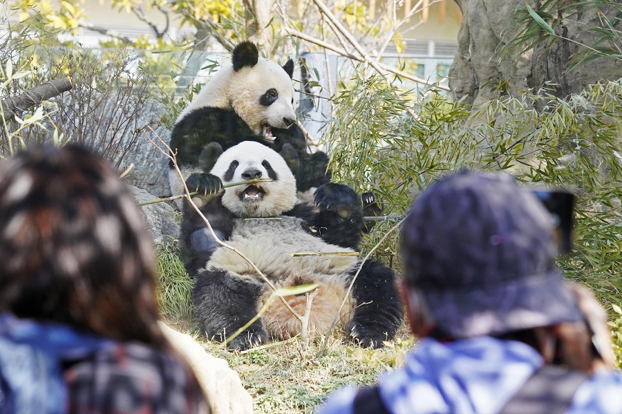 IC Photo(qun)ƷՈ(qng)D(zhun)d