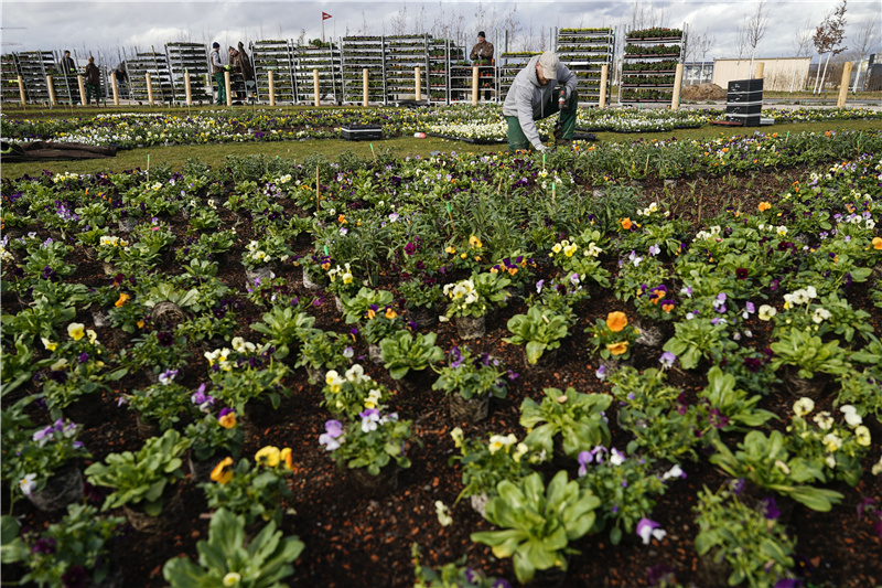 ICPhoto(qun)ƷՈ(qng)D(zhun)d