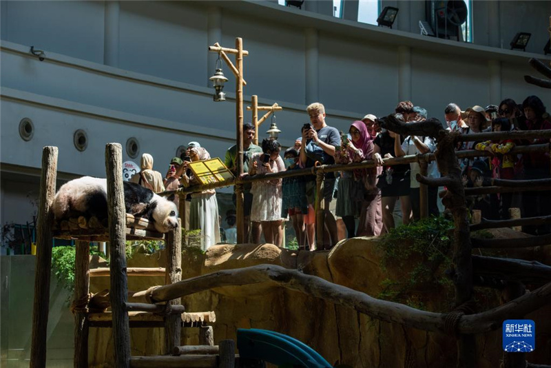 311οR(li)¡^؈