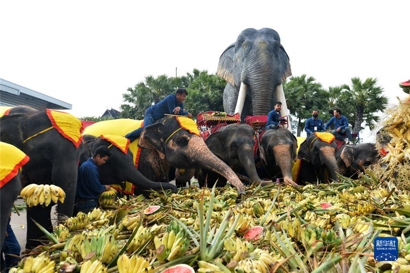 313̩(gu)ŵŖ|Ř(l)@