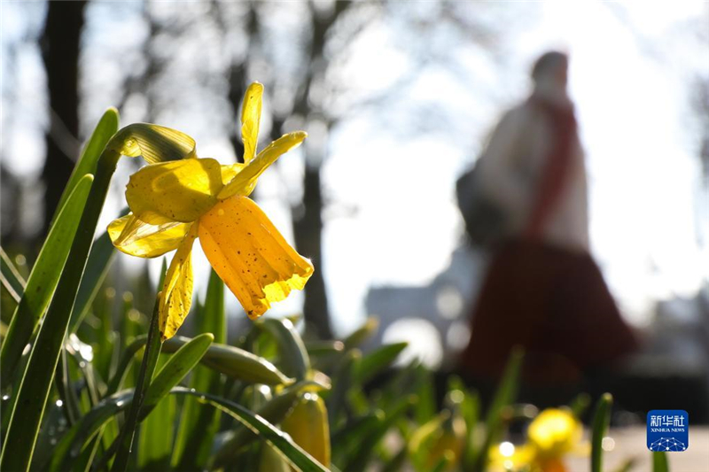 315գһ˽(jng)^r(sh)ʮo(j)@`ŵˮɻ