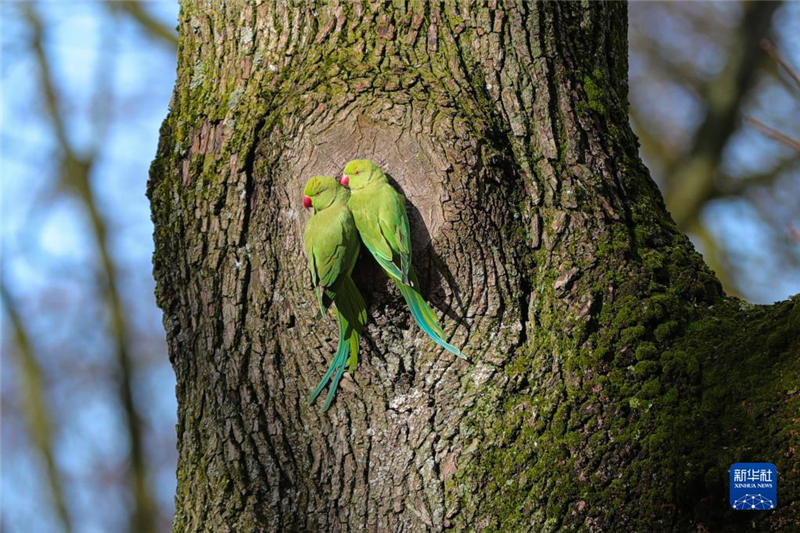 315ڱr(sh)ʮo(j)@ֻW^ژ(sh)ϗϢ