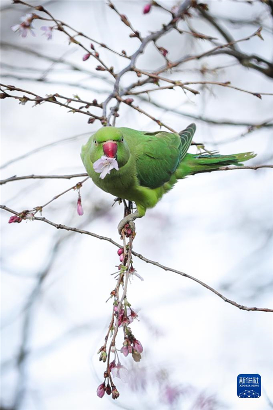 315һֻW^ڱr(sh)ʮo(j)@֦^Ғʳ