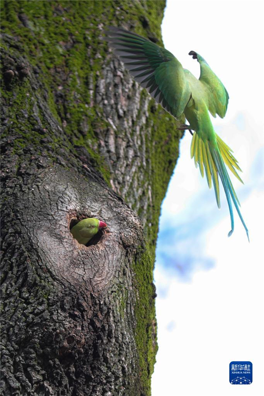 @315ڱr(sh)ʮo(j)@ĔzăֻW^