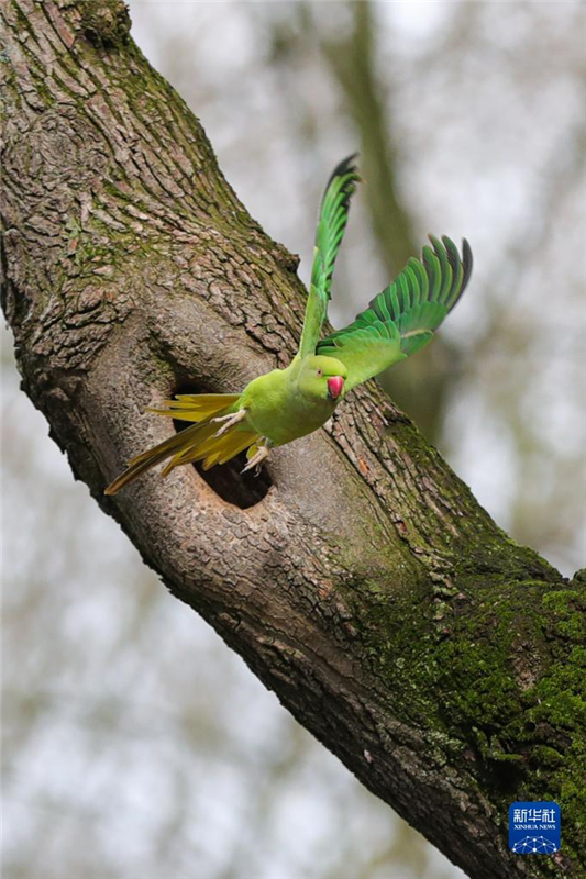 315գһֻW^ڱr(sh)ʮo(j)@gw