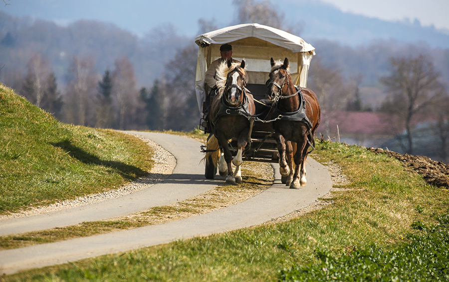 ICPhoto(qun)ƷՈ(qng)D(zhun)d