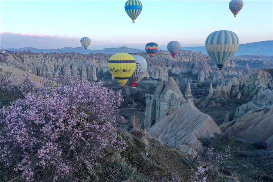 ICPhoto(qun)ƷՈ(qng)D(zhun)d