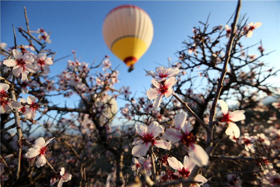 ICPhoto(qun)ƷՈ(qng)D(zhun)d