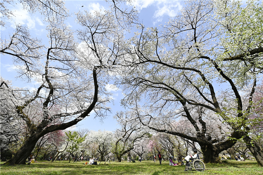 ICPhoto(qun)ƷՈ(qng)D(zhun)d