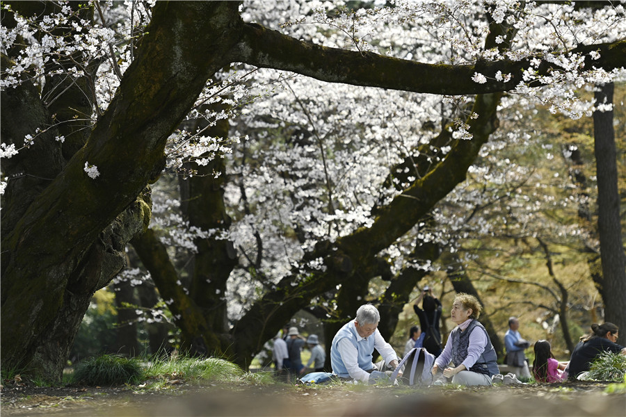 ICPhoto(qun)ƷՈ(qng)D(zhun)d