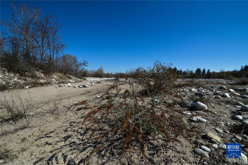 @325Ƥش^(q)ĔzĸɺԵĽӺӴ