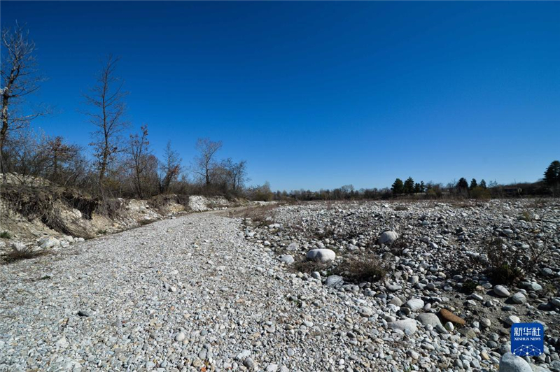 @325Ƥش^(q)ĔzĸɺԵĽӺӴ