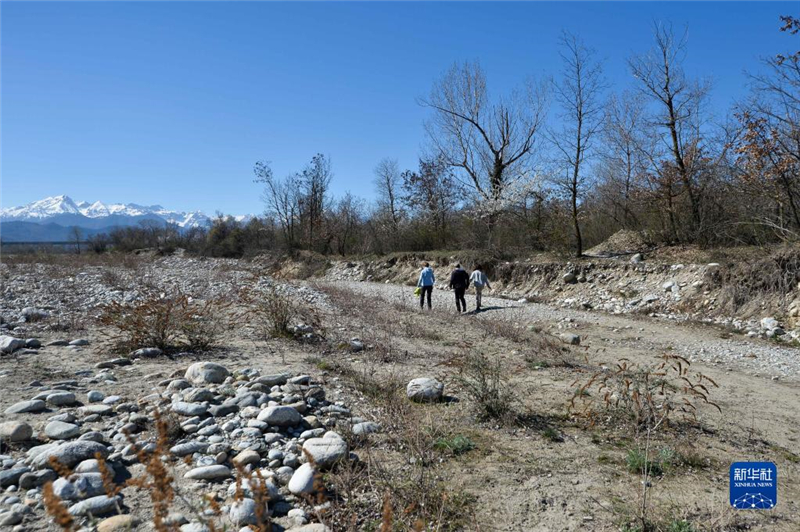 @325Ƥش^(q)ĔzĸɺԵĽӺӴ