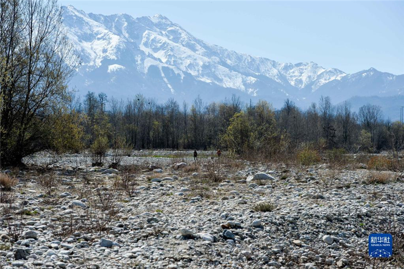 @325Ƥش^(q)ĔzĸɺԵĽӺӴ