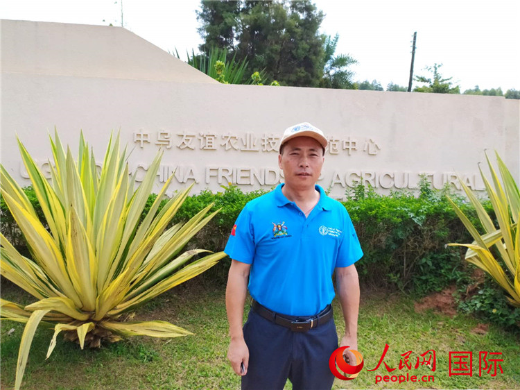 r(nng)I(y)ҽMMLС(qing)ʾTǰW(wng)ӛ Sєz