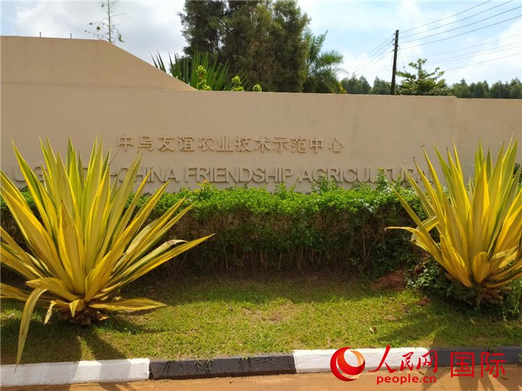 Оxr(nng)I(y)g(sh)ʾW(wng)ӛ Sєz