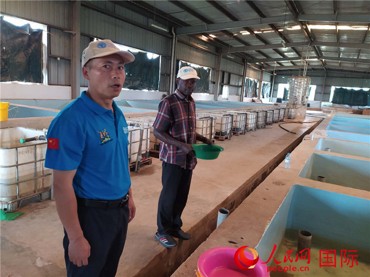 r(nng)I(y)ҽMML(zhng)С(qing)ͮ(dng)?sh)ع~粸gW(wng)ӛ Sєz