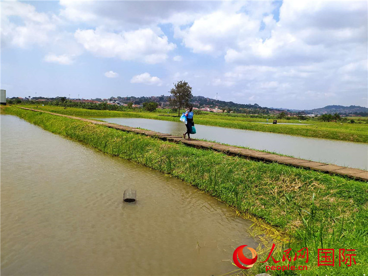 Оxr(nng)I(y)g(sh)ʾĵ~W(wng)ӛ Sєz