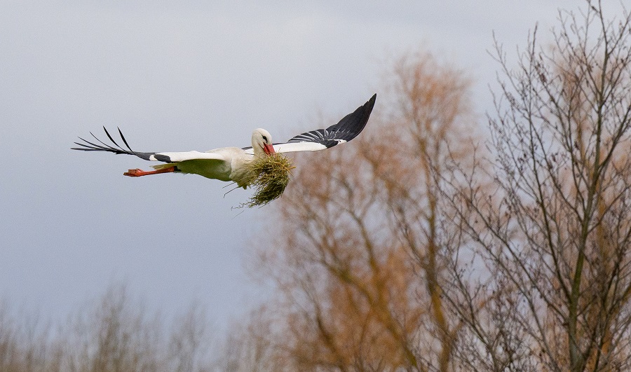 IC Photo(qun)ƷՈ(qng)D(zhun)d