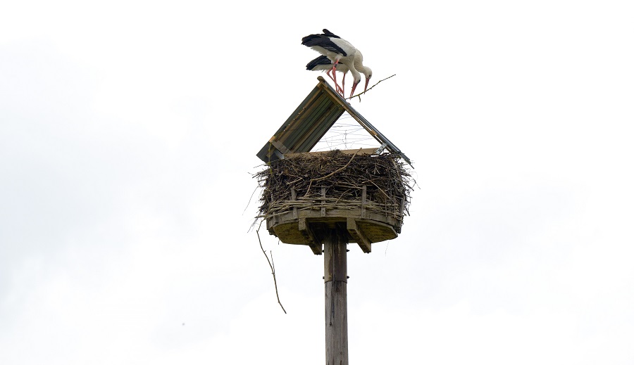 IC Photo(qun)ƷՈ(qng)D(zhun)d