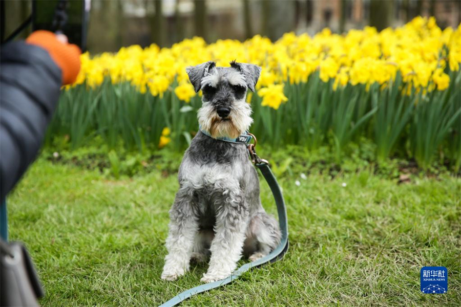 47գڱr׶İݼӵǳǱ@һ^ڻԞ錙ﹷա20òHչ4154ڲİݼӵǳǱ@eAӛɔz