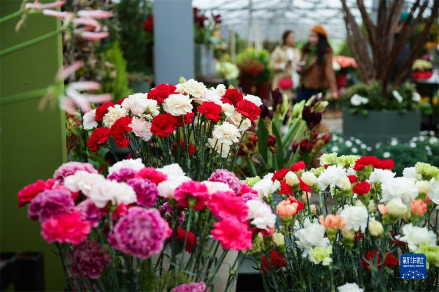 @47ڱr׶İݼӵǳǱ@ĔzĻ20òHչ4154ڲİݼӵǳǱ@eAӛɔz