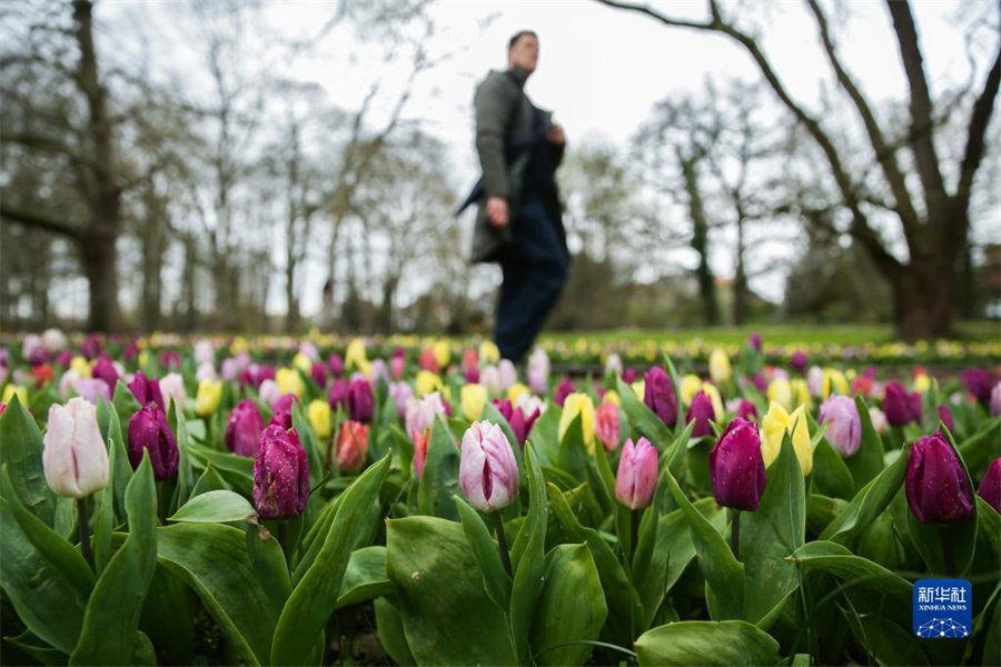 47^ڱr(sh)׶İݼӵǳǱ@^(gu)Hչ20ò(gu)Hչ4154ڲİݼӵǳǱ@eAӛɔz