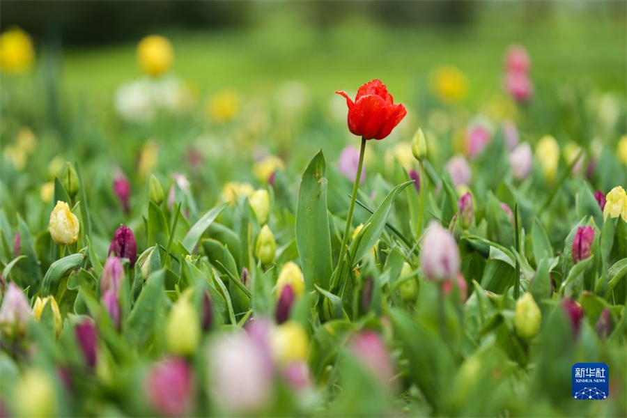 @47ڱr׶İݼӵǳǱ@ĔzĻ20òHչ4154ڲİݼӵǳǱ@eAӛɔz