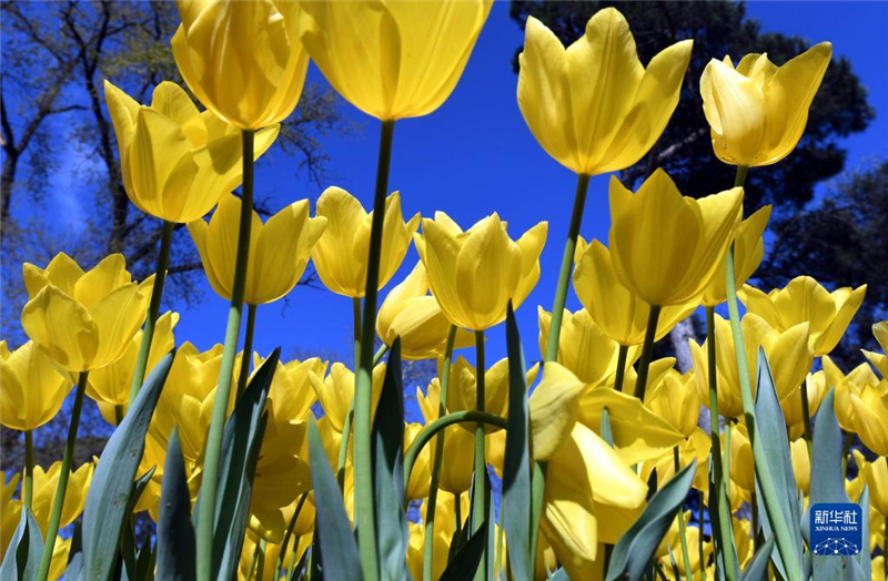 48˹̹נʹ@(ni)rʢ_