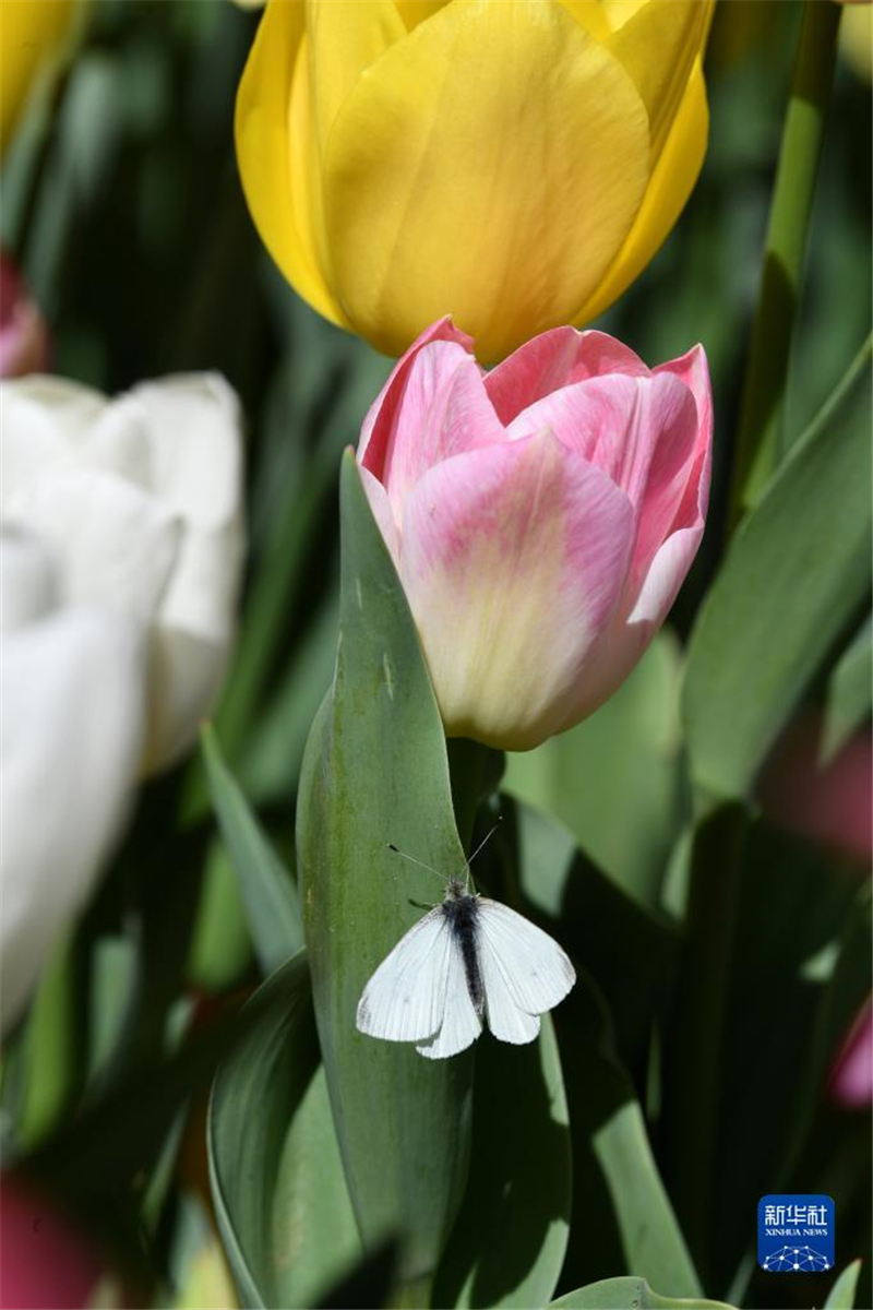 48˹̹נʹ@(ni)rʢ_(ki)