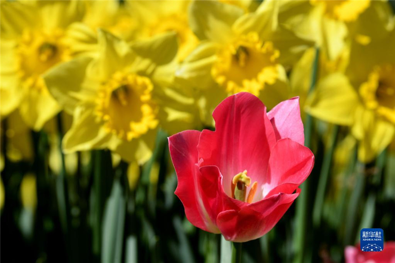 48˹̹נʹ@(ni)rʢ_(ki)