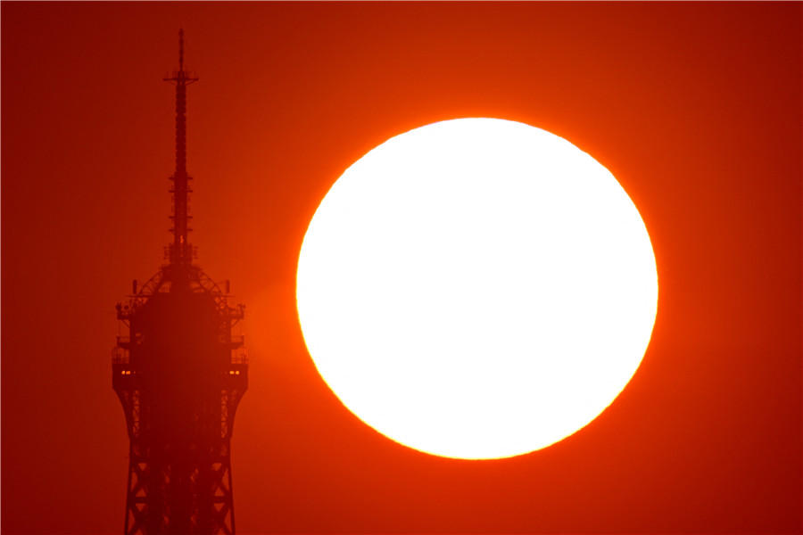 IC Photo(qun)ƷՈ(qng)D(zhun)d