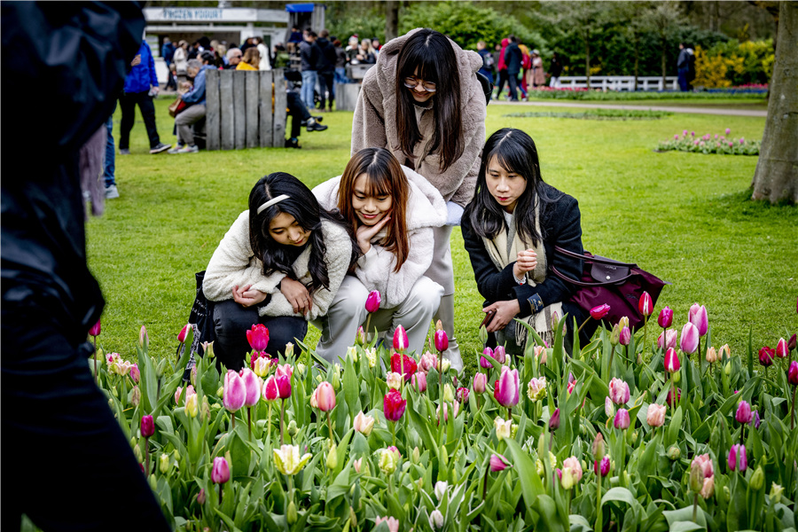 ICphoto(qun)ƷՈ(qng)D(zhun)d