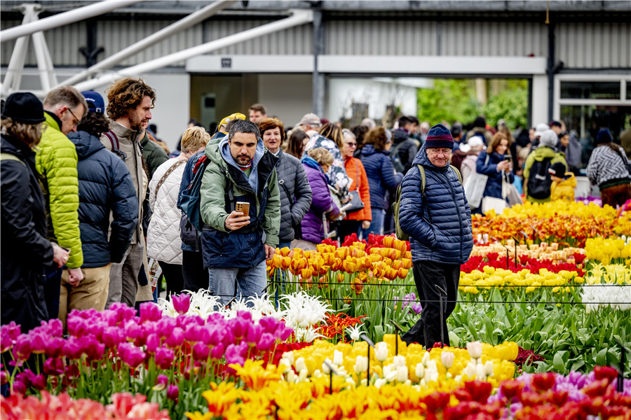 ICphoto(qun)ƷՈD(zhun)d