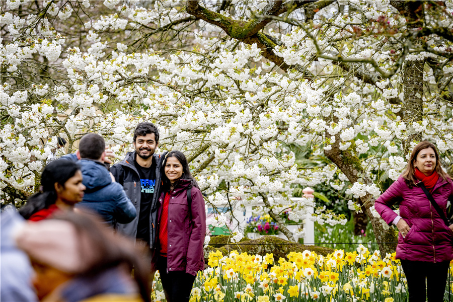 ICphoto(qun)ƷՈD(zhun)d