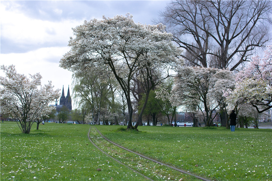 ICphoto(qun)ƷՈD(zhun)d