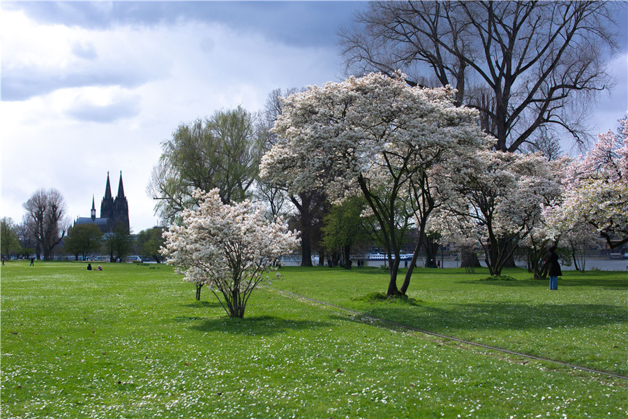 ICphoto(qun)ƷՈD(zhun)d