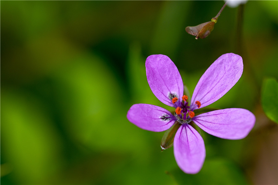 ICphoto(qun)ƷՈD(zhun)d