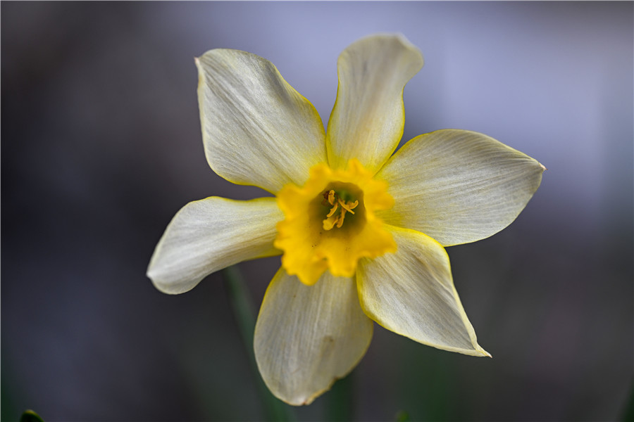 ICphoto(qun)ƷՈD(zhun)d